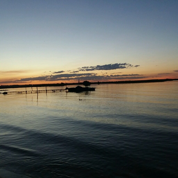 Meet your Posher, Riley - Picture 1 of 1